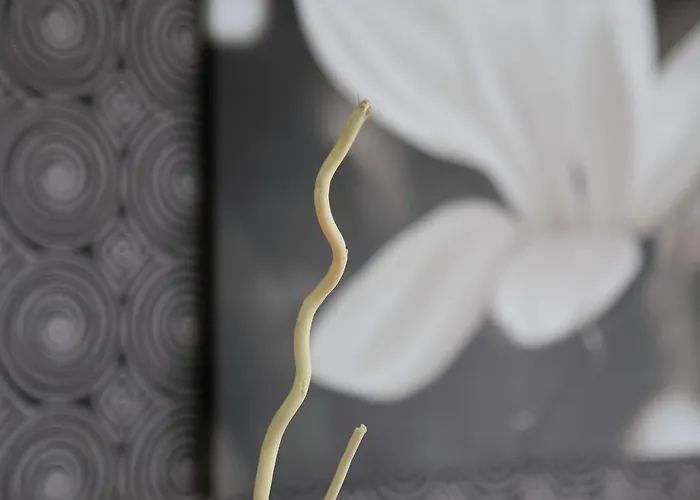 Rainbow 3 Club Sluneční pobřeží