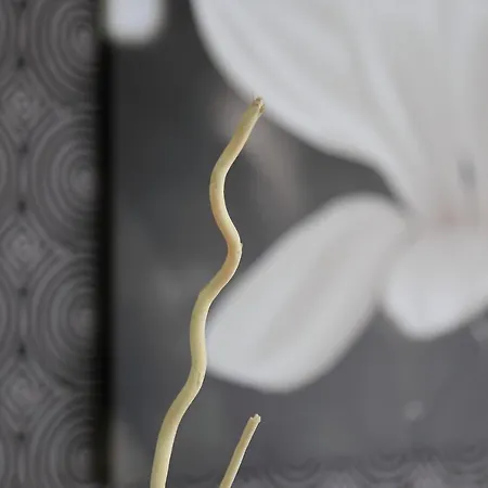 Rainbow 3 Club Sunny Beach